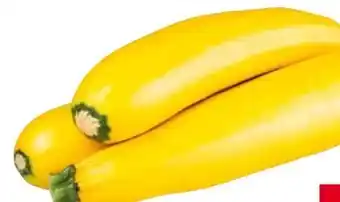 Transgourmet Zucchini gelb Angebot