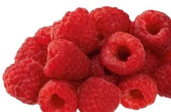 Transgourmet Himbeeren Angebot
