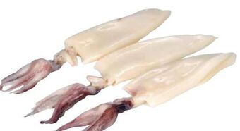 Transgourmet Tintenfisch geputzt Angebot