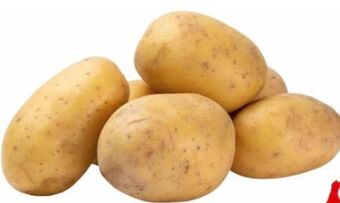 Transgourmet Ofenkartoffel Angebot