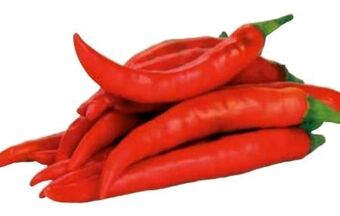 Transgourmet Chili Rot Angebot