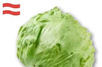 ADEG Eissalat Angebot