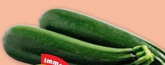 PENNY Zucchini Angebot