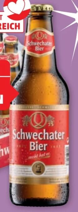 PENNY Schwechater Bier Angebot