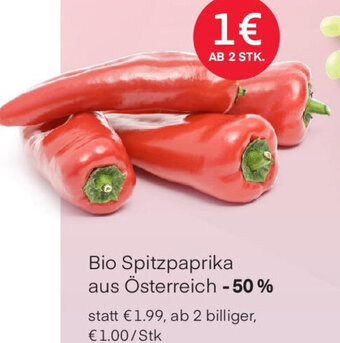 MPreis Bio Spitzpaprika Angebot