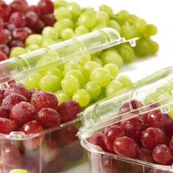 Spar Bio-traubenmix Angebot