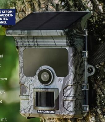 Hofer Wildkamera Angebot