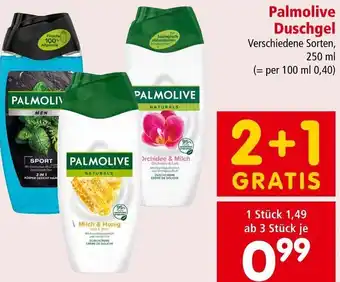Interspar Palmolive Duschgel 250 ml Angebot