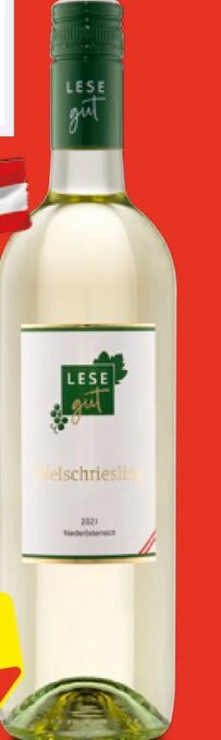 Hofer Welschriesling Angebot
