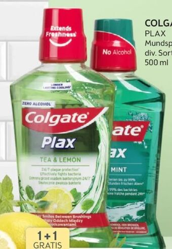 Mundspülung plax