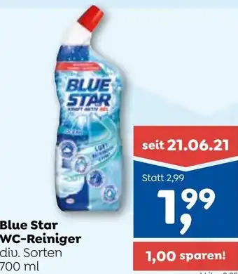 ADEG Blue Star WC-Reiniger 700 ml Angebot