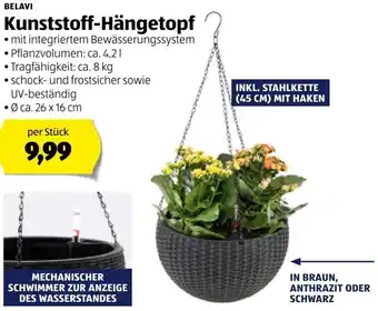 Hofer Kunststoff-Hängetopf 26 x 16 cm Angebot