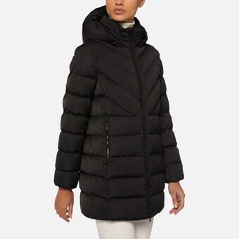 Geox Spherica dame Angebot