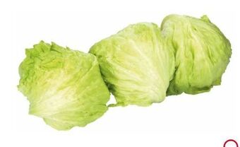 Transgourmet Eisbergsalat Angebot