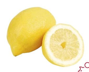 Transgourmet Zitronen Angebot