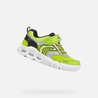 Geox Wroom junge Angebot
