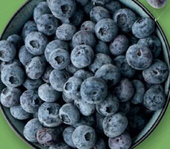 Lidl Heidelbeeren Angebot