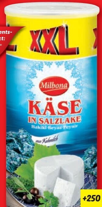 Lidl Käse in salzlake Angebot
