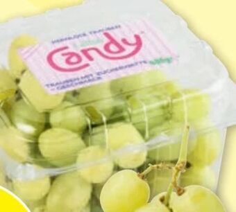 PENNY Trauben Angebot