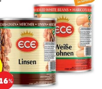 PENNY Linsen Angebot