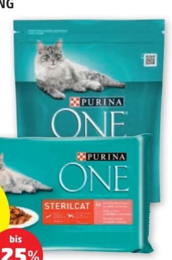 PENNY One katzennahrung Angebot
