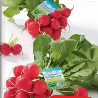 Spar Natur*Pur Bio-Radieschen Angebot