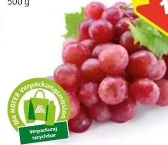 Hofer Trauben Kernlos Rot 500g Angebot