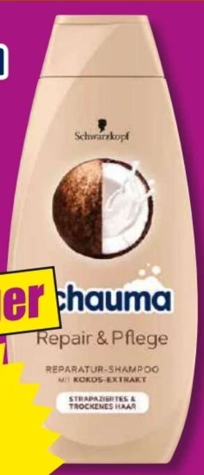 Norma Schauma shampoo Angebot
