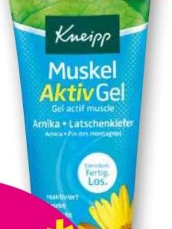 Norma Muskel aktiv gel Angebot