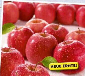 Spar Äpfel Angebot