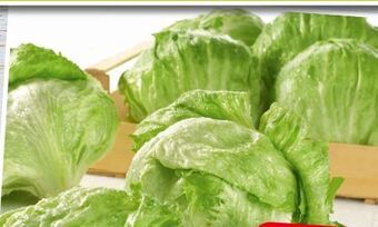 Spar Eisbergsalat Angebot