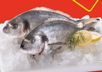 Hofer Bio-dorade Angebot