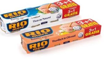 Hofer Thunfischfilets Angebot