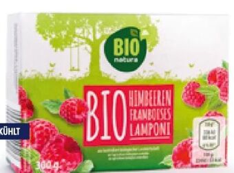 Hofer Bio-himbeeren Angebot