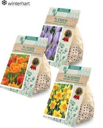 Hofer Exklusive blumenzwiebeln Angebot