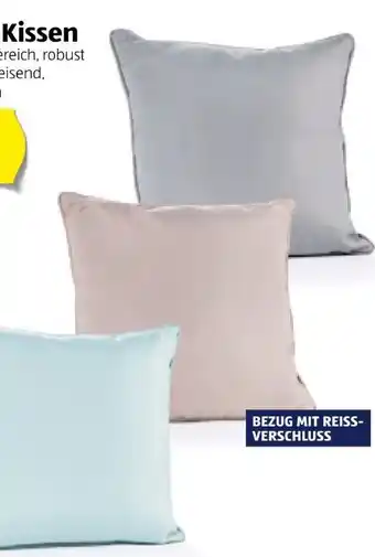 Hofer Outdoor-kissen Angebot