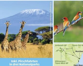 Hofer Kenia baden-safari Angebot