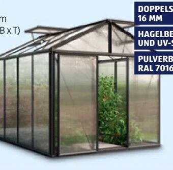 Hofer Gewächshaus royal Angebot