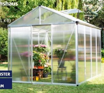 Hofer Premium gewächshaus Angebot