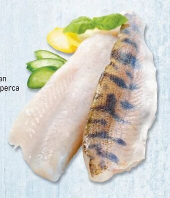 Metro Zanderfilet Angebot