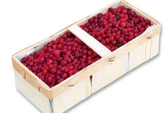 Metro Preiselbeeren Angebot