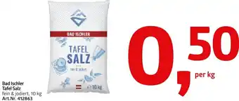 AGM Bad Ischler Tafel Salz 10 kg Angebot
