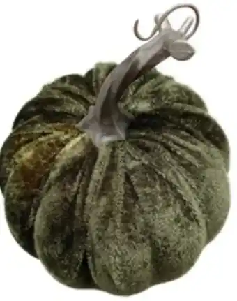 KiK Deko samtkürbis Angebot