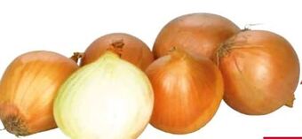 Transgourmet Zwiebel Angebot