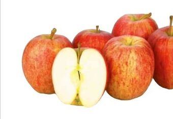 Transgourmet Äpfel gala Angebot