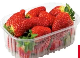 Transgourmet Erdbeeren Angebot