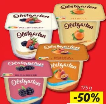 Lidl Obstgarten Angebot