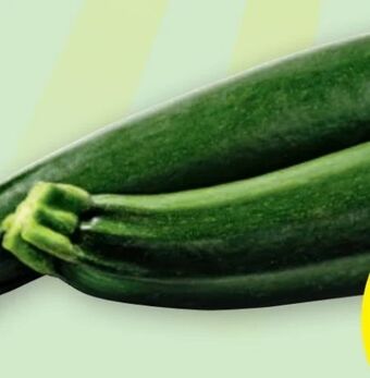 PENNY Zucchini Angebot