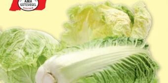 PENNY Chinakohl Angebot