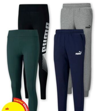 PENNY Damen-legging Angebot
